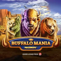 buffalomaniamega